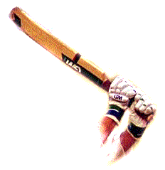 Batting gloves and bat as often used in Indoor Cricket